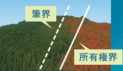 境界には種類があり、その位置は所有者の意思のみで決めることができません